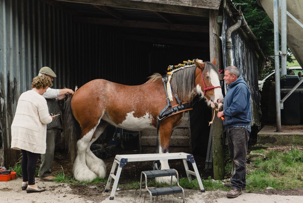 Elslack Wedding Farm Horse