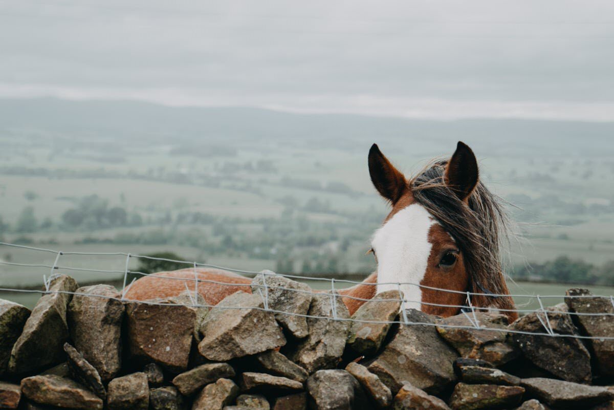 Elslack Skipton Engagement Shoot
