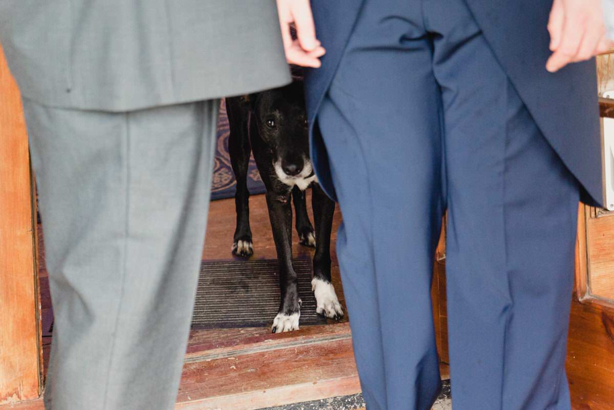 Bude Wedding