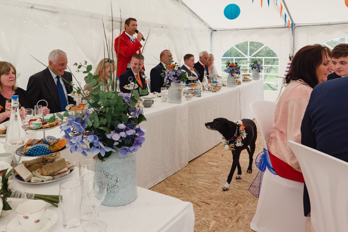 Bude Wedding