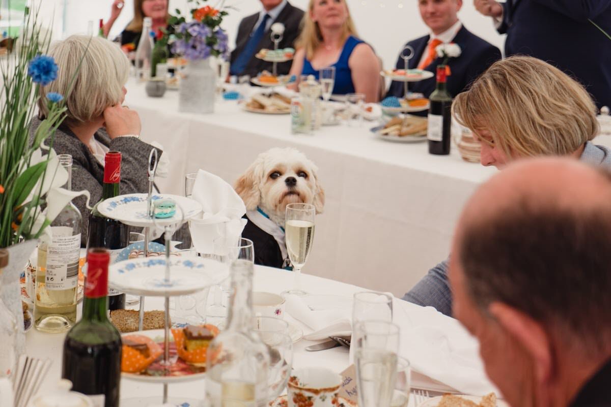 Bude Wedding