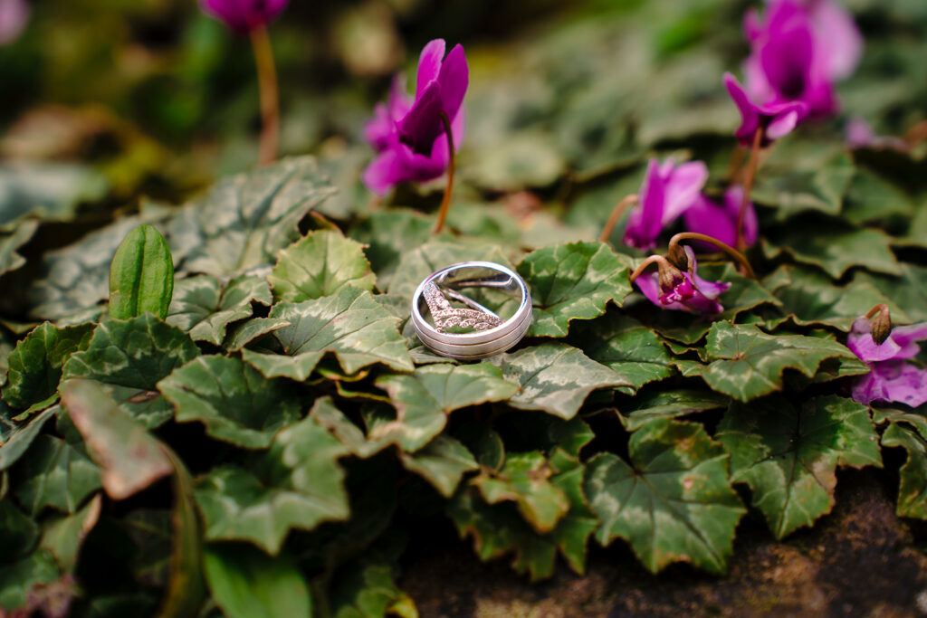 Two wedding rings resting among pink cyclamen and ivy leaves