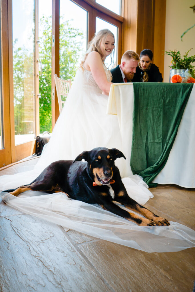 Happy bride with dog on wedding day indoors at The Out Barn.